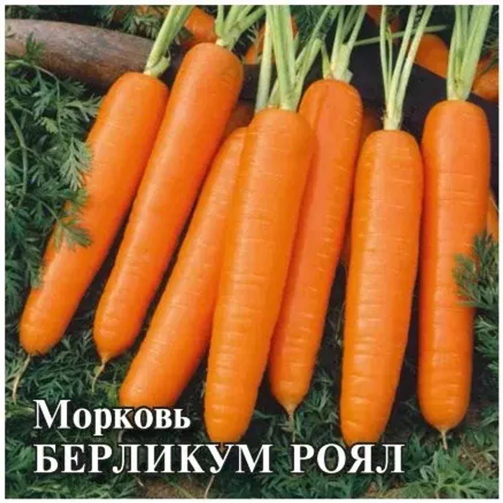 Морковь Берликум Роял 25г Гавриш