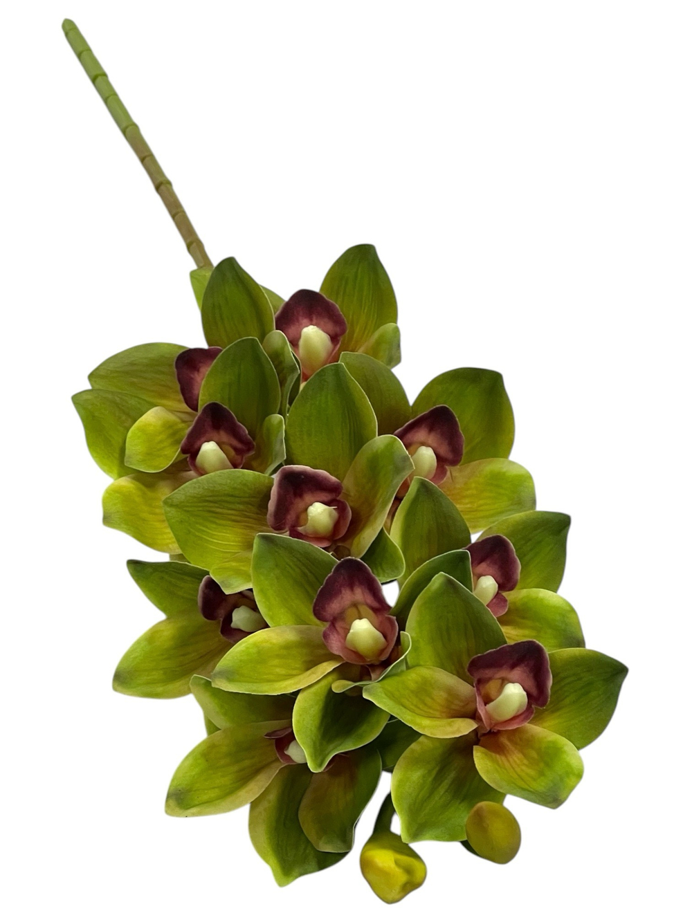 Орхидея Цимбидиум ветка зеленая 73 см