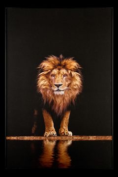 Картина Лев TD142 Lion Teona Decor