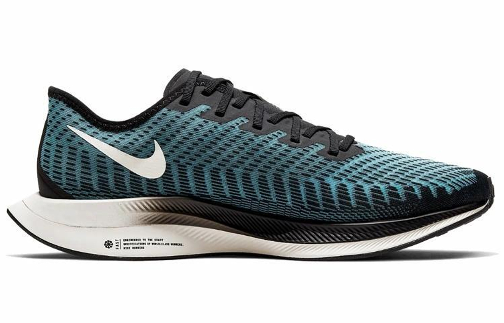Кроссовки Nike Pegasus Turbo 2