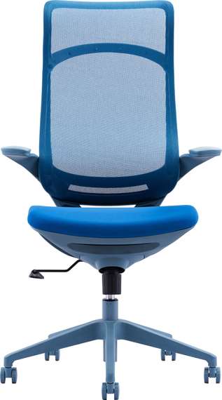 Кресло руководителя Everprof Spirit Сетка Синий