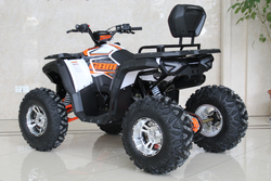 Квадроцикл GBM MAVERICK 300 NEW PREMIUM