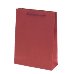 GAEM Пакет подарочный XS (бумага 210г/м2, блок 12шт), L15 W6 H20 см, 4в.