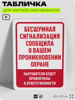 Табличка для частной территории "Бесшумная сигнализация сообщила о вашем проникновении охране", на дом, для участка, организаций и частных территорий, 40х30 см, Silver Plane x Айдентика Технолоджи