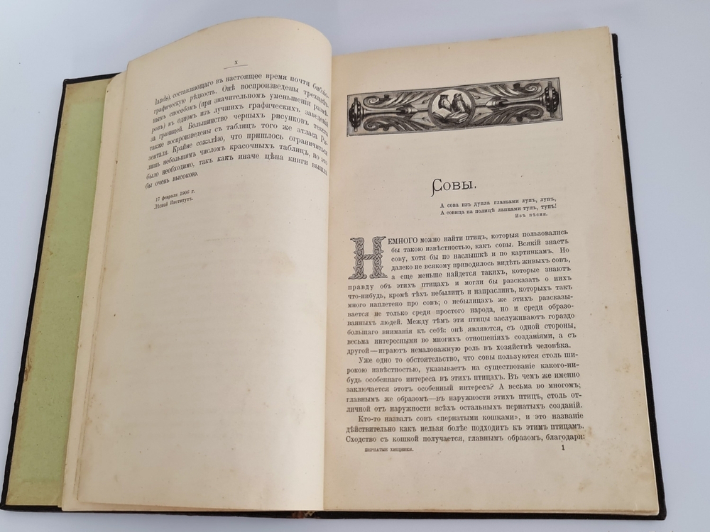 "Пернатые хищники. Популярные очерки из мира русских хищных птиц". Д.Н.Кайгородов. 1906 г.