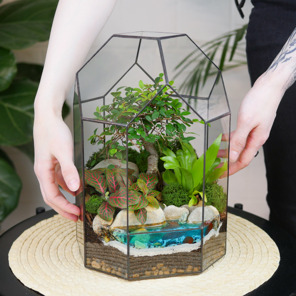 Готовый флорариум бонсай Японский вяз Бонсариум с озером