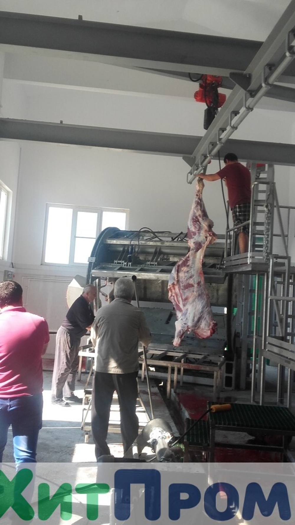 Линия ритуального убоя КРС 50 голов/смена. Ставропольский край