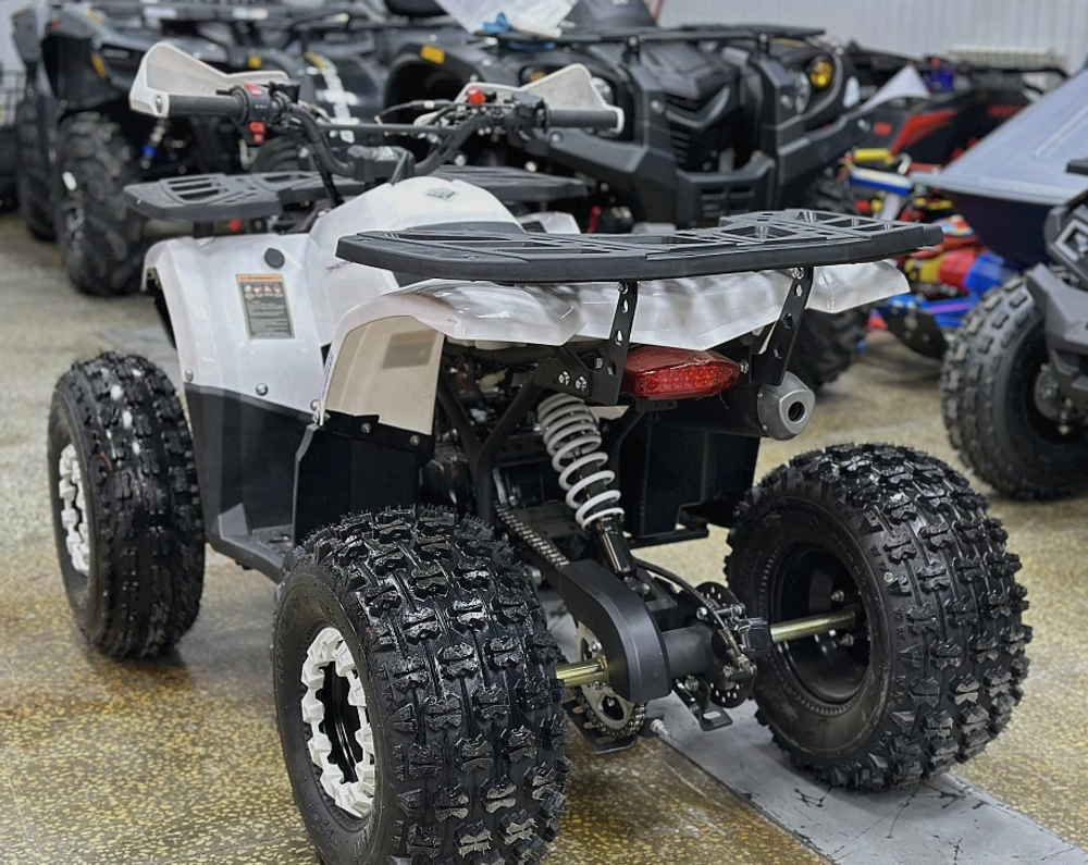 КВАДРОЦИКЛ PROMAX WILD 2.0 190