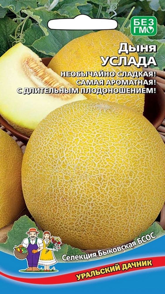 Дыня &quot;G. Услада&quot; 10шт., Россия.