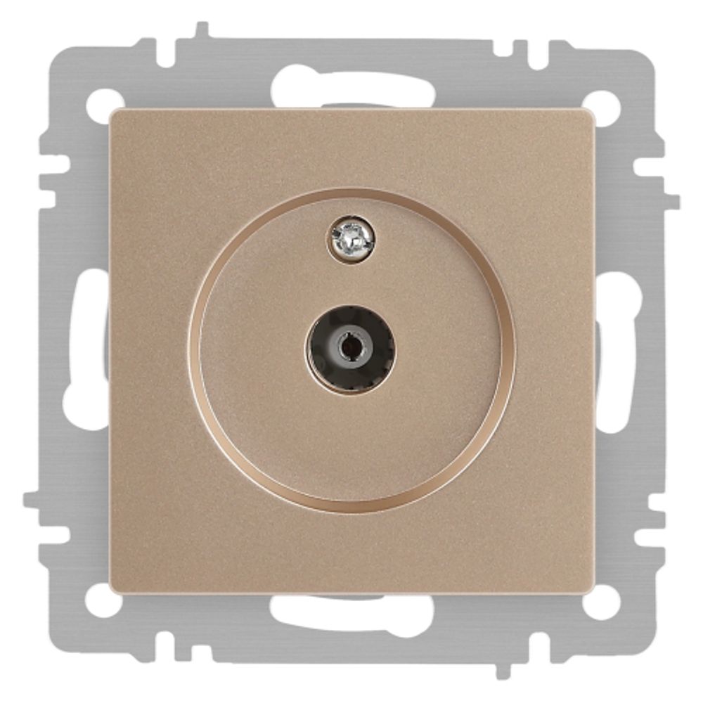 Розетка Intro Accent 6-301-04 TV одиночная, IP20, СУ, шампань | Intro