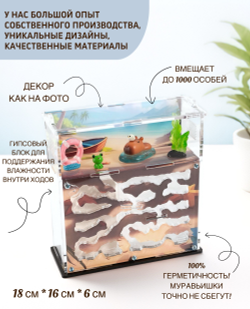 Муравьиная ферма с муравьями в подарок "Капибара на пляже"