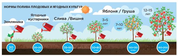 Правильный полив сада в засушливое лето