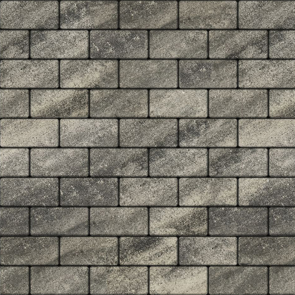 Тротуарная плитка ПРЯМОУГОЛЬНИК Б.2.П.6 200x100 мм Листопад гладкий Антрацит
