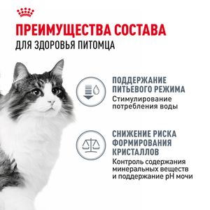Пауч Royal Canin Urinary Care для взрослых кошек для поддержания здоровья мочевыделительной системы, мелкие кусочки в соусе