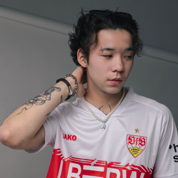 Штутгарт / Домашняя