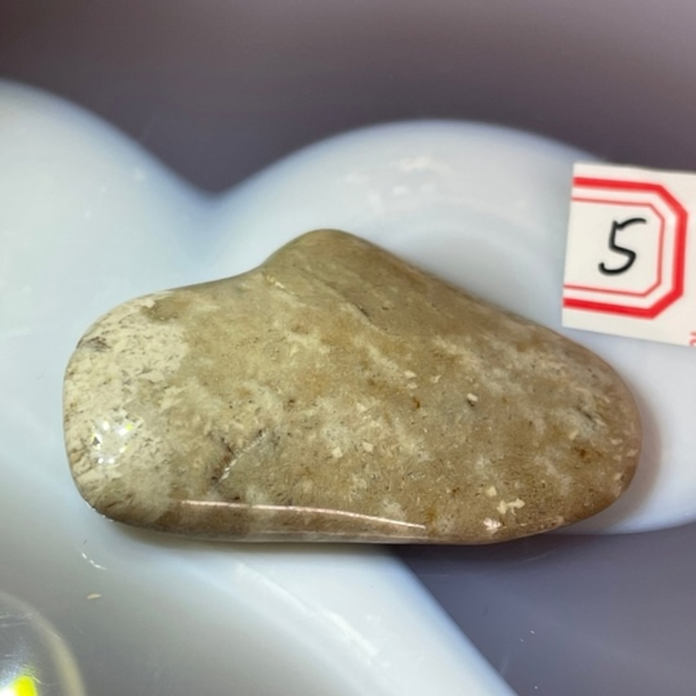 28797 Коралл окаменелый галтовка 28-42мм--61