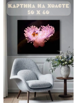 Картина на стену 40 X 50 Рыба клоун