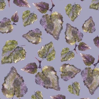 Листья берёзы №2.