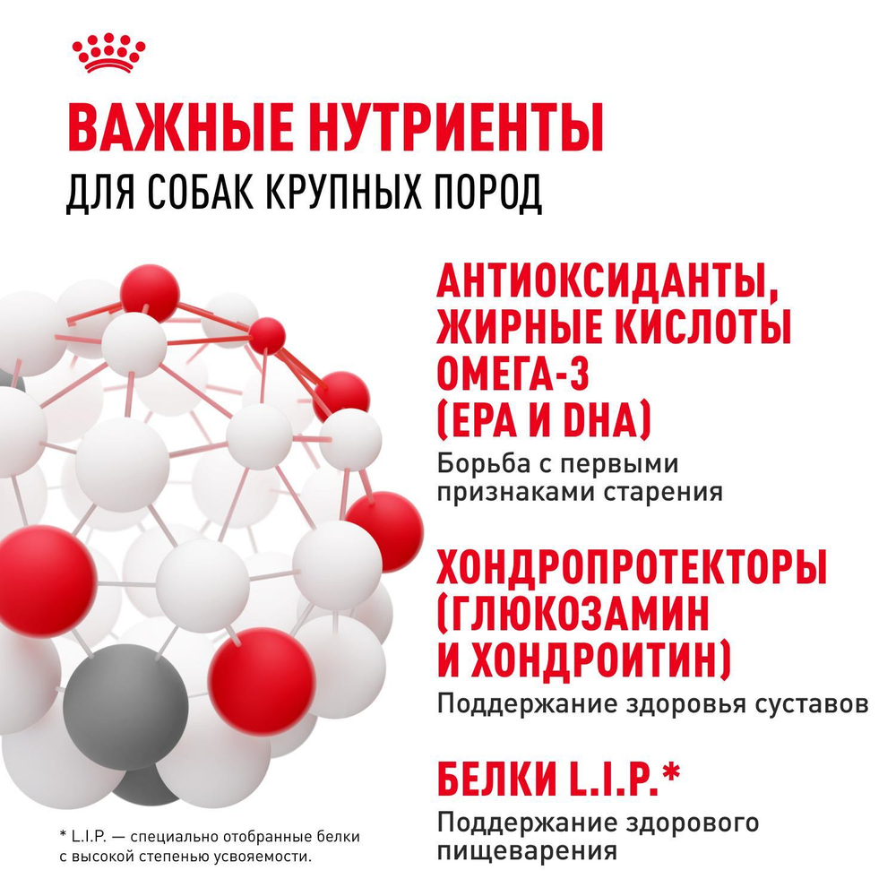 Royal Canin Maxi Ageing 8+ Корм сухой для стареющих собак крупных размеров от 8 лет и старше 3 кг