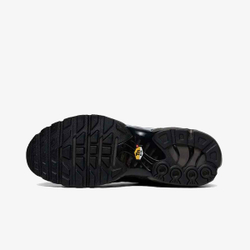 Nike Air Max Tn Plus Premium Paris