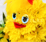 Игрушка из цветов "Цыплёнок"