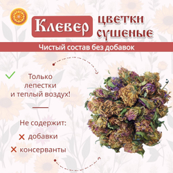Клевер цвет сушеный.