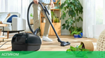 Пылесос Bosch BGL38GOLD черный/золотистый