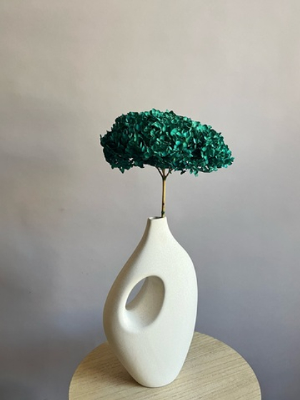 Гортензия стабилизированная изумрудная