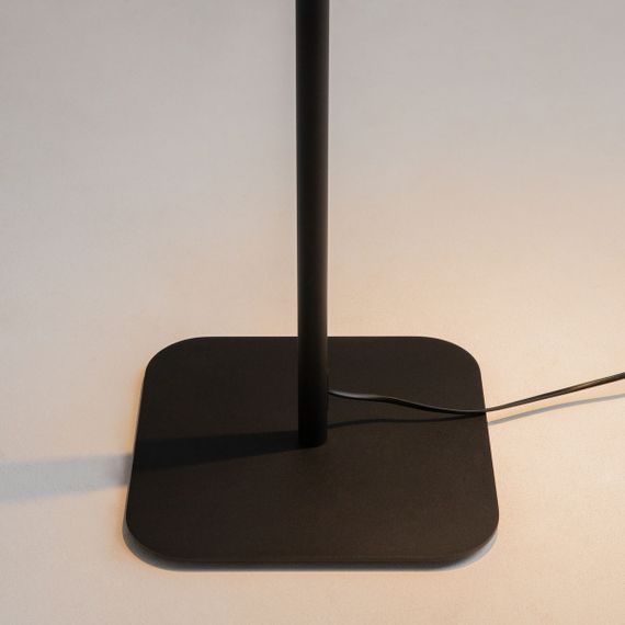 Торшер Maytoni Farel Z001FL-L3W-1B