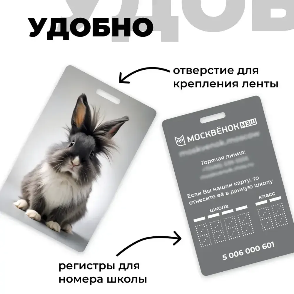 Карта Москвёнок BUNNY №1 (проход + питание)