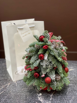 Елочка Подарок НГ-26