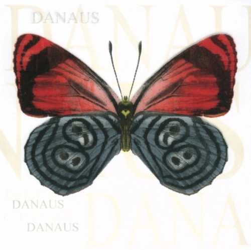 Плитка керам. Сан-ремо 4 бабочка Д  200*200 мм 1,04 м2 26 шт/упак