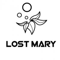 LOST MARY