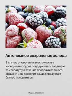 Встраиваемый холодильник Hansa BK2385.2N