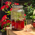 Диспенсер для напитков 4л "Mason" без подставки, WS 2030-3 - F2