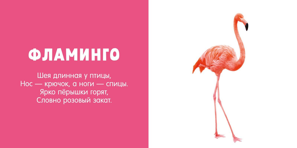 Первые слова. Любимые животные. Фотокнига со стихами