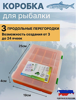 Коробка FisherBox 250 оранж. 5-29отд. 250х190х2мм (малая) FB-B250or