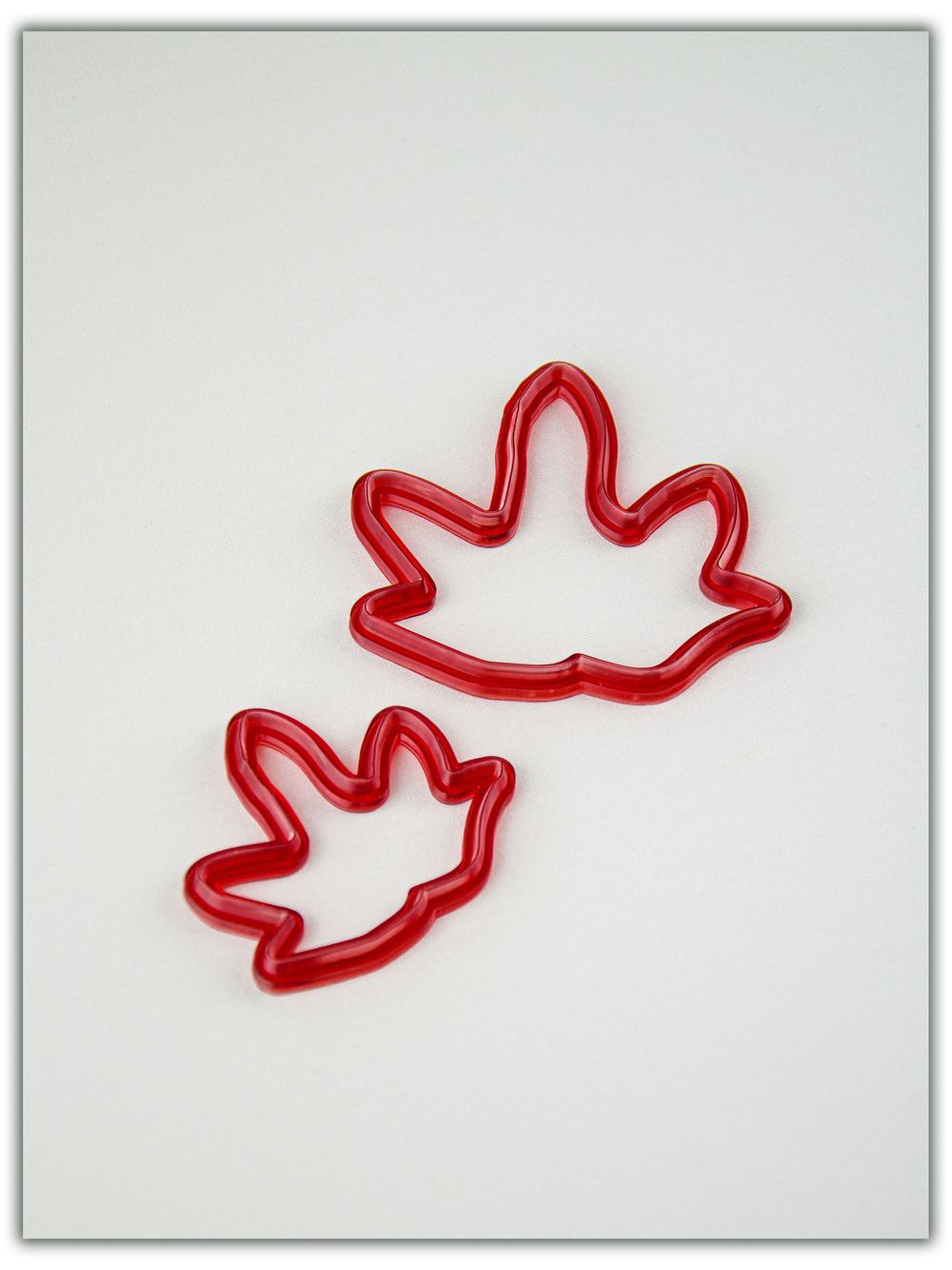 Лист мальвы. Сорт 2