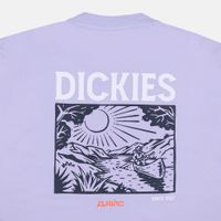  Футболка мужская Dickies Patrick Springs Tee артикул:DK0A4YR7H181 - купить в магазине Дайс
