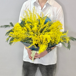 «Мимозель» букет из мимозы XL
