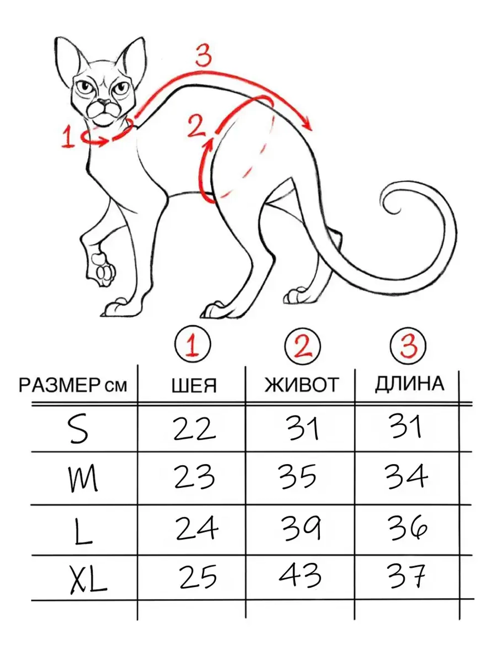 Одежда для кошек