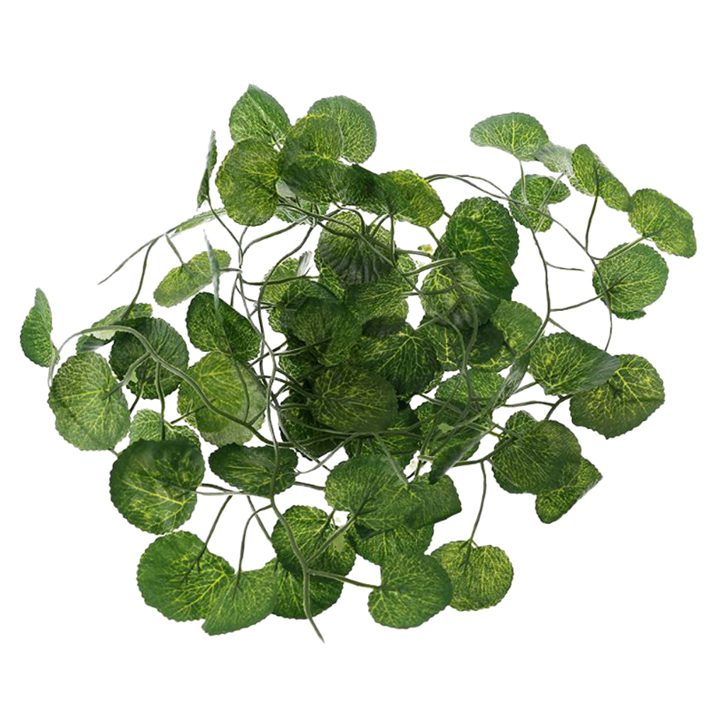 Растение "Камнеломка ампельная", зеленый, 2300мм, Laguna