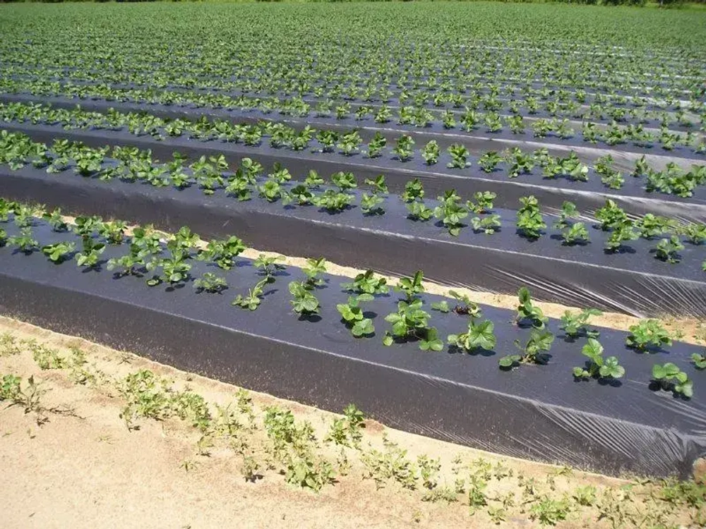 Пленка техническая полиэтиленовая 150 мкм 3х10м строительная / Рукав ПВД / 2,1кг