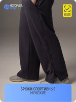 Брюки спортивные мужские ТН, серый