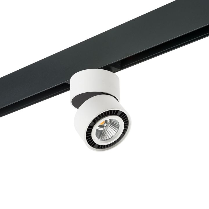 Комплект с трековым светильником Lightstar Forte Muro (595061+214816) PRO214816