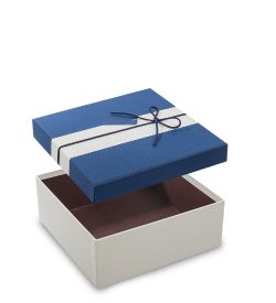 Packing Symphony WF-36/1-A Коробка «Прямоугольник» цв.бел./син.