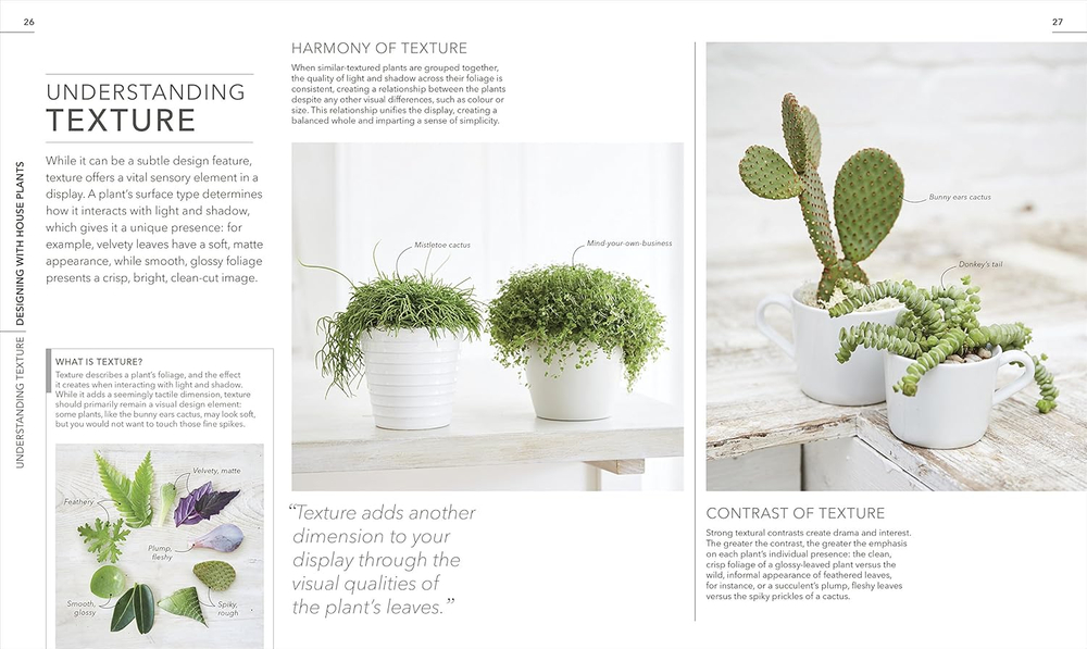 RHS Practical House Plant Book