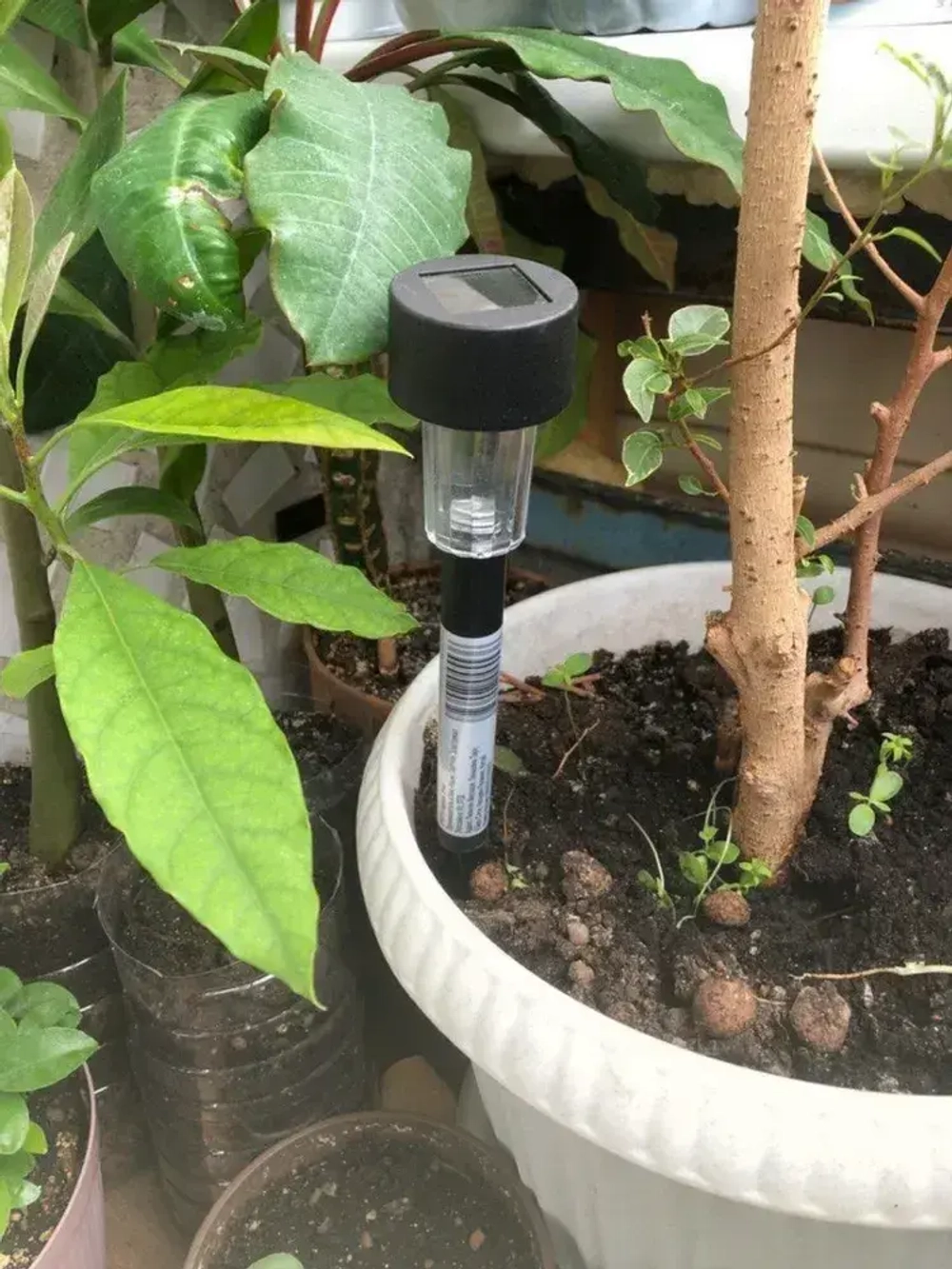 MegaSvet Уличный светильник