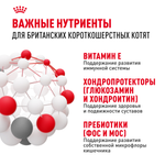 Royal Canin British Shorthair Kitten Корм сухой сбалансированный для британских котят 10 кг