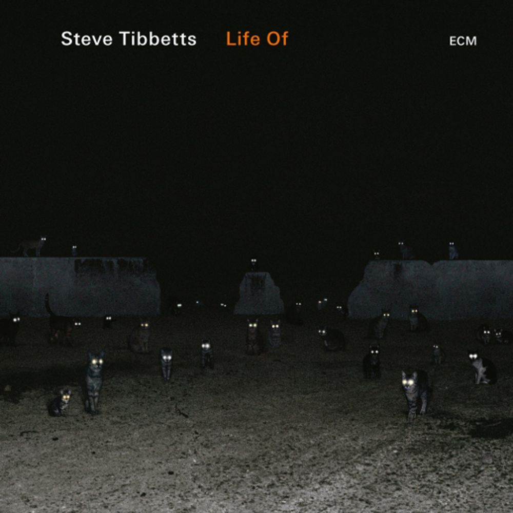 Steve Tibbetts / Life Of (CD)